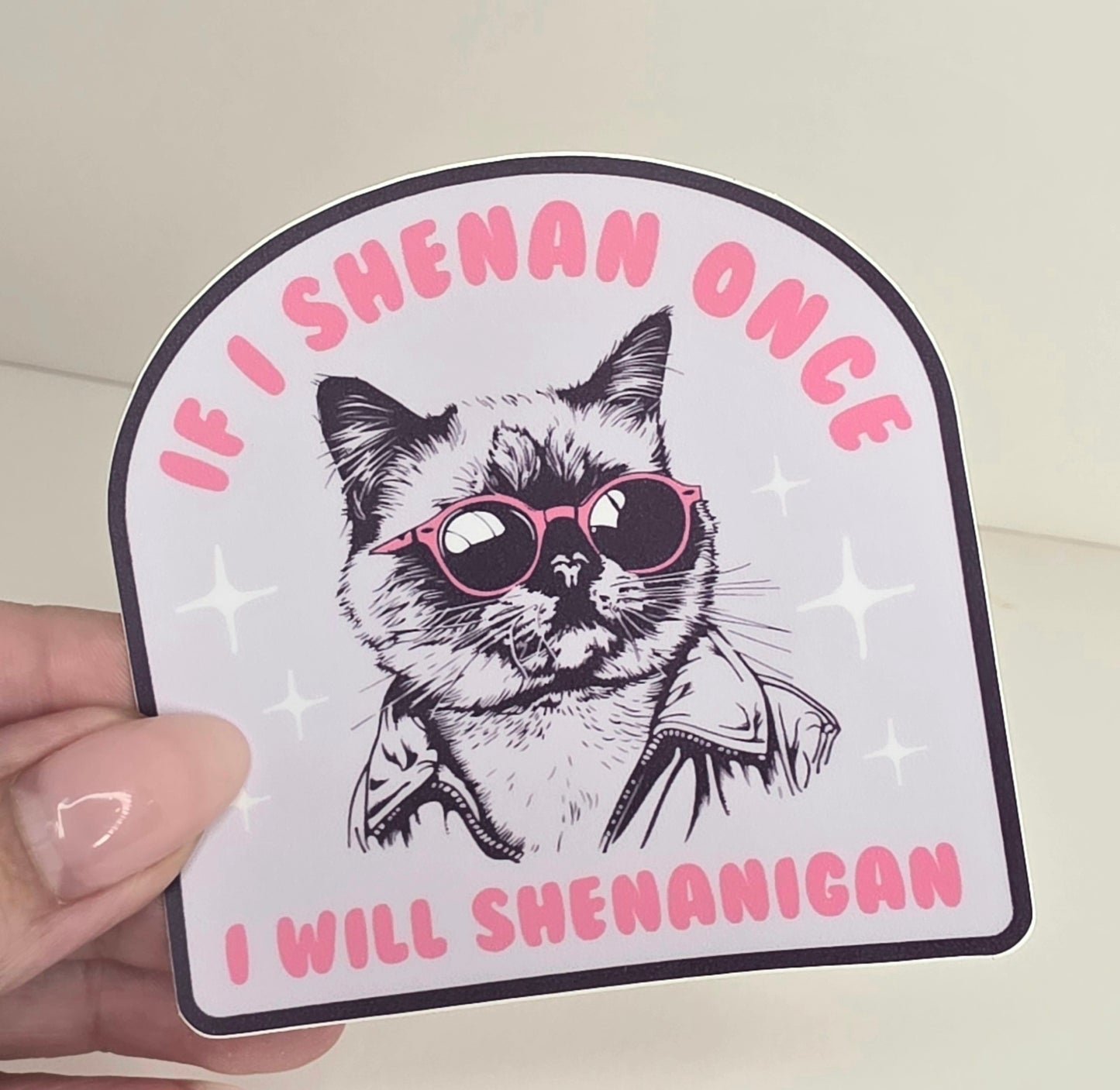If I Shenan Once I Will Shenannigan Funny Sticker